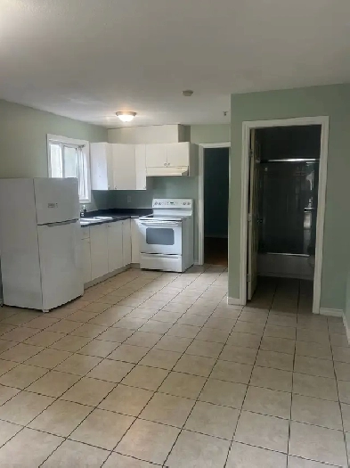 Basement suite - 1 bedroom, 1 bathroom Image# 4