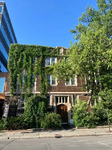 2 bedroom apartment MTL Image# 1