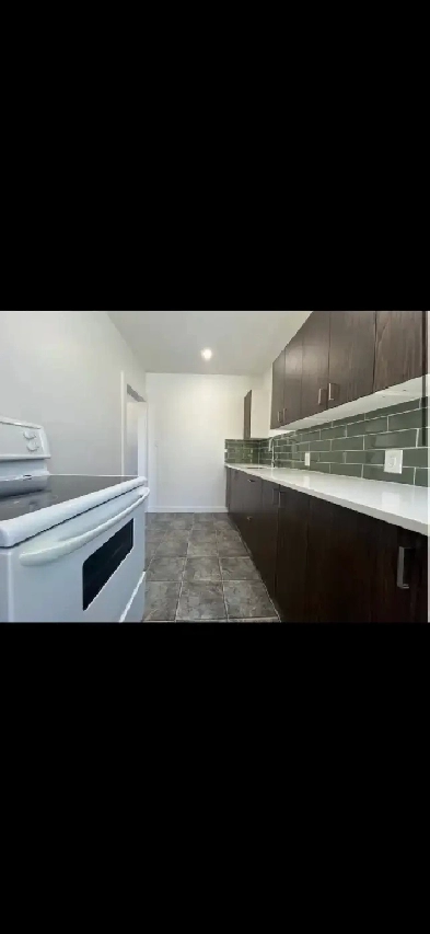 1 bedroom downtown suite for rent Image# 1