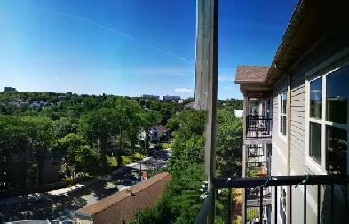 1B1B apartment 3rd floor w elevator& Lake view, Pet friendly Image# 5