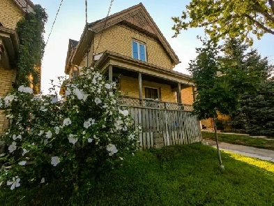 2 Bedroom - Entire House Rental in Old East Village Image# 1