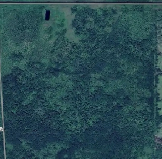 Land for sale Image# 1