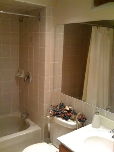 Spacious 1 Bdrm Basement for Rent in Lisgar Area Image# 2