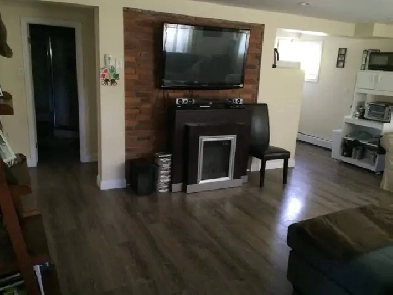 Dog friendly - Nice lower level 2 level apartment. Image# 2