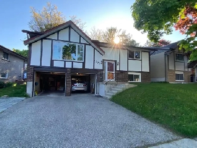 House For Rent in Waterloo Image# 1