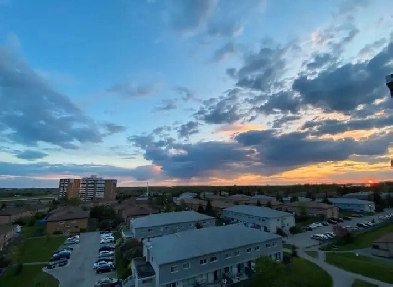 1 bed 1 bath apartment near bayshore mall including utilities. Image# 1