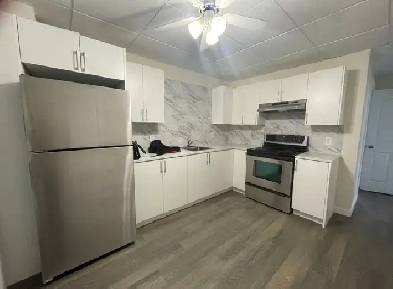 Spacious basement bedroom for rent in Midnapore Image# 3