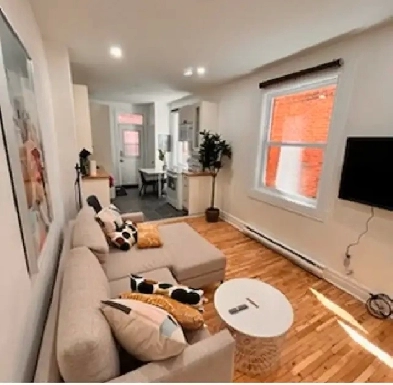 4 1/2 Rénové, complètement meublé tout inclus Image# 1