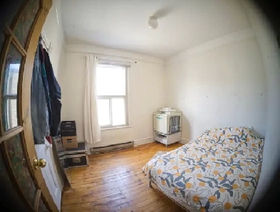2.5 month subrental in Le Plateau (Sous-location de 2,5 mois) Image# 1