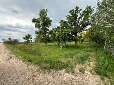 90122 32E Rd, Libau - Gorgeous 5 Acre property, 40 mins to Wpg! Image# 2