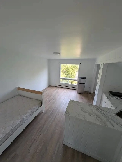 Two Stylish Bachelor Pads (Left or Right) in Little Britain Image# 4