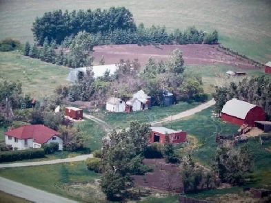Gardening, greenhouses, test crops, vertical farming ... Image# 1