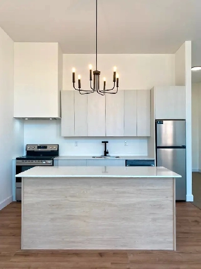 Brand New 1-Bedroom Apartments Image# 1