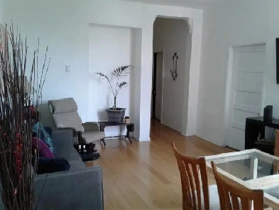 Grand 8 1/2 de 6 chambres pour août ou septembre Métro Pie-IX Image# 1