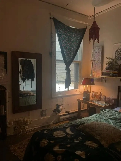 logement a louer Image# 1