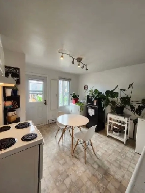 3 1/2 à louer avenue Louis-Hébert, Rosemont Petite-Patrie Image# 2