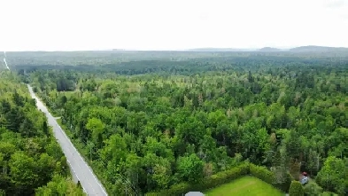 Sherbrooke (Estrie) : Terre à bois de 165,12 acres Image# 3