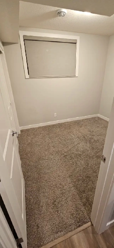 Basement Suite In Seton, Calgary 1 Bed available - 2bed, 1 bath Image# 6