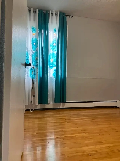 Chambre à louer à Saint-Laurent Image# 1