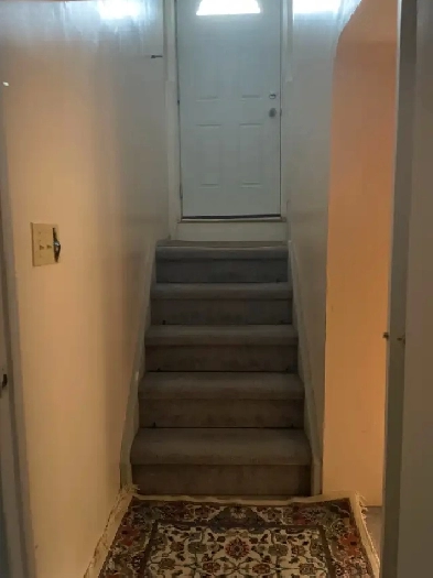 RENT A BASEMENT Image# 4