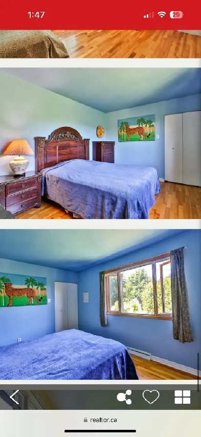 Room for Rent Image# 1