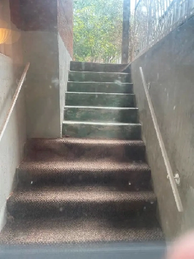 Excellent location basement 1bedroom   Family room   Aug1/2025 Image# 1