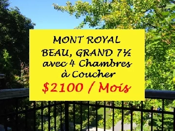WOW! BEAU GRAND 7 1/2 - 4 CAC - QUARTIER SUPER CHIC - MONT ROYAL Image# 1