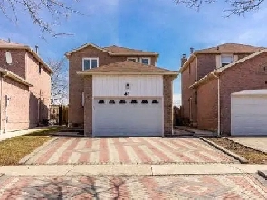 Newly finished 2 bed 1 bath basement bright and sunny Hurontario Image# 1