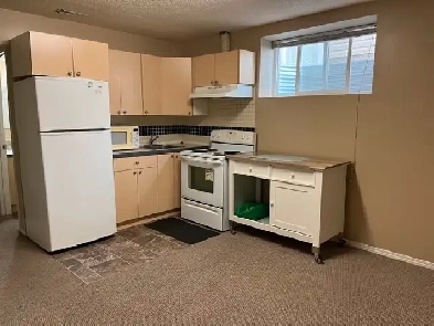 Basement for Rent in Taradale Image# 5