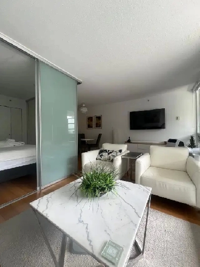 Entire Apartment- Downtown Vancouver Image# 7