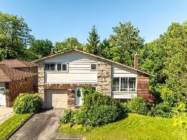 Basement for Rent Image# 1