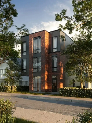 Large Hintonburg 2nd Level - 3 Bd 2 Bth 1100sq/ft $3100/mth Image# 5
