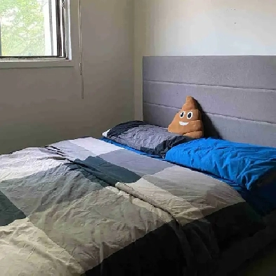 Room for Rent – $570   Utilities near U of M, 5 Min to Blue Line Image# 4