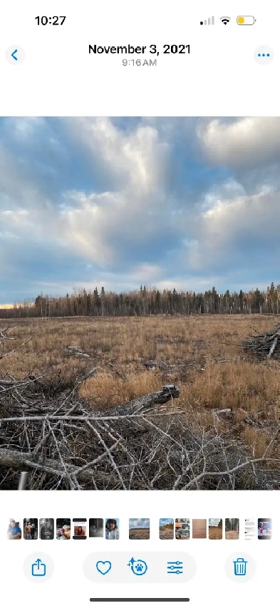 land for sale Image# 2