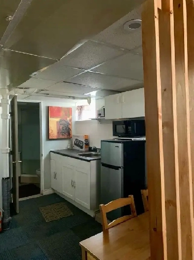 Fully furnished basement with one bedroom Image# 4