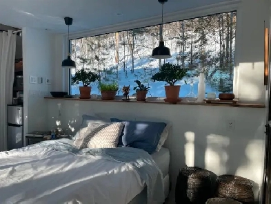 Chambre à louer, Image# 1