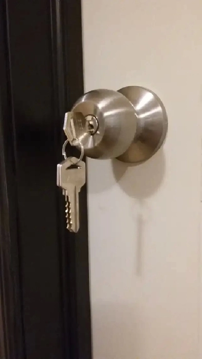 Chambre TT inclus - Disponible 2 juillet - Brossard Image# 1