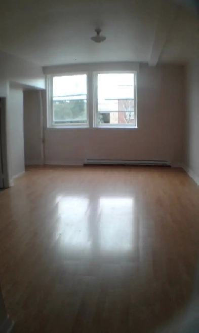 Downtown York Street Apartment Available September 2025 Image# 7