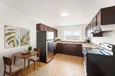 Newly Renovated 1 Bedroom Apartment Move In Ready! Image# 1