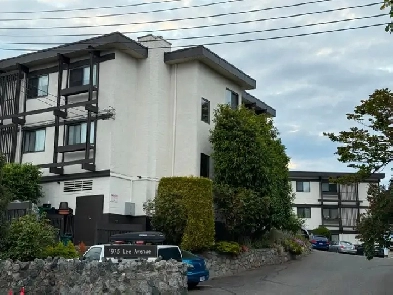 Apartment for lease Image# 8