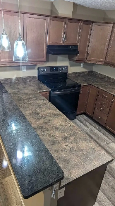 1300 Sqft Lindenwoods! 2br DEN, 2Bathrooms, UTILITIES INCLUDED Image# 8
