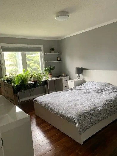 Morgan’s Grant: Room for rent Image# 2