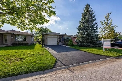 Stunning 3 Bedroom Detached With Partly Fin Bsm & S/Ent In Londo Image# 5