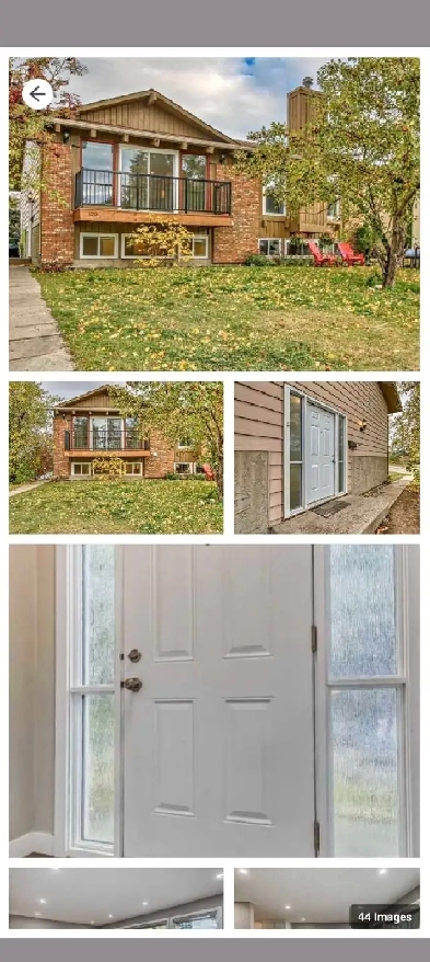Basement suite for rent Image# 4