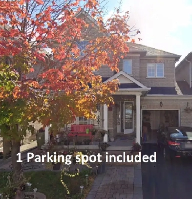 Spacious 2 Bed Basement - FINCH & NEILSON , Scarborough. Image# 3