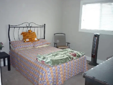 Furnished Room Female Working/Student Image# 1