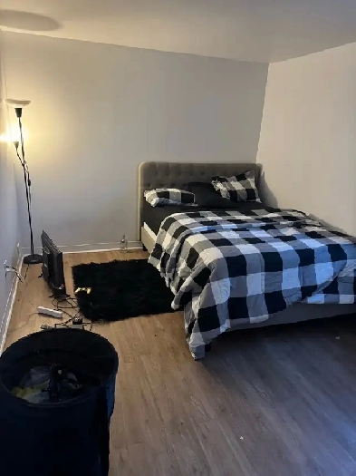 grande chambre dans un 4 1/2 Image# 5