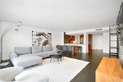 Furnished large apartment in Old Port Image# 6