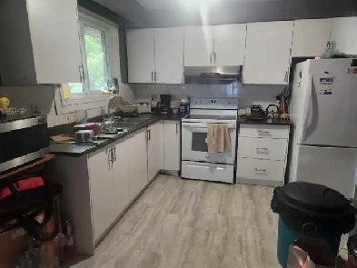 Room for rent weed friendly Image# 6