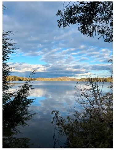 1.7 acre lake-access lot on quiet, pristine lake Image# 6